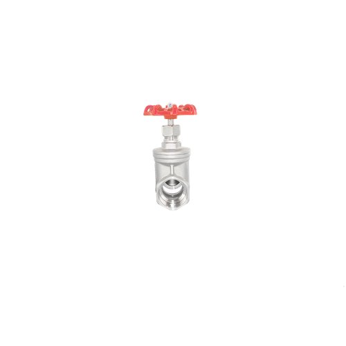 Задвижка клиновая муфтовая нержавеющая, AISI304 DN32 (1_1/4"), (CF8), PN40