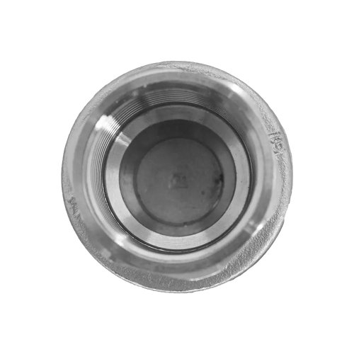 Обратный клапан муфтовый прямой нержавеющий, AISI304 DN25 (1"), (CF8), PN64